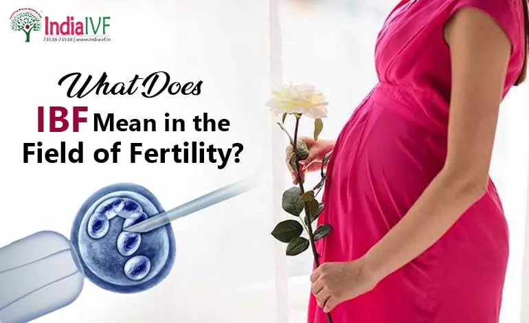What-Does-IBF-Mean-in-the-Field-of-Fertility