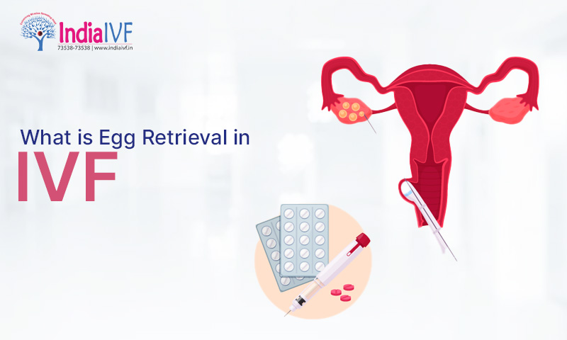 What is Egg Retrieval in IVF A Comprehensive Guide