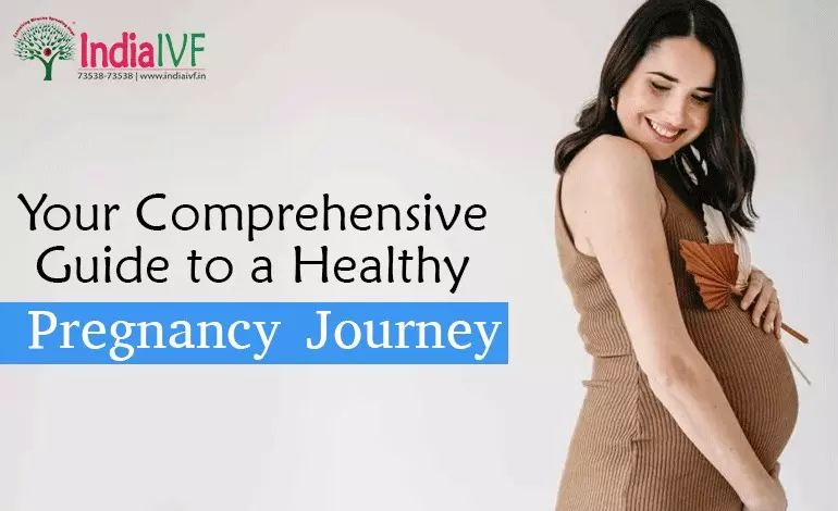 Healthy Pregnancy Journey