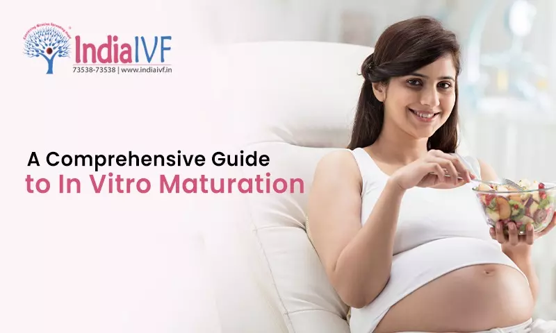 A Comprehensive Guide to In Vitro Maturation