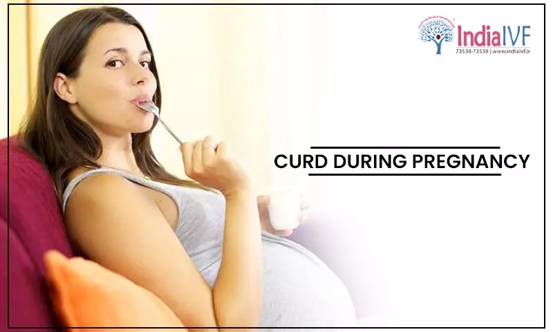 Curd During Pregnancy: A Creamy Delight or a Dairy Dilemma?