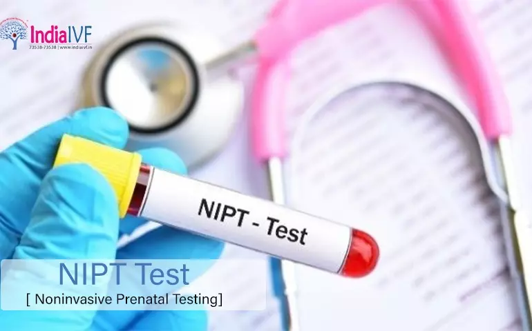 NIPT-Test