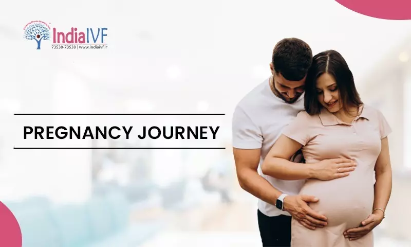 Pregnancy Journey: From Conception to Birth