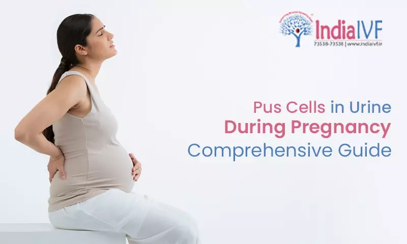 Pus Cells in Urine During Pregnancy