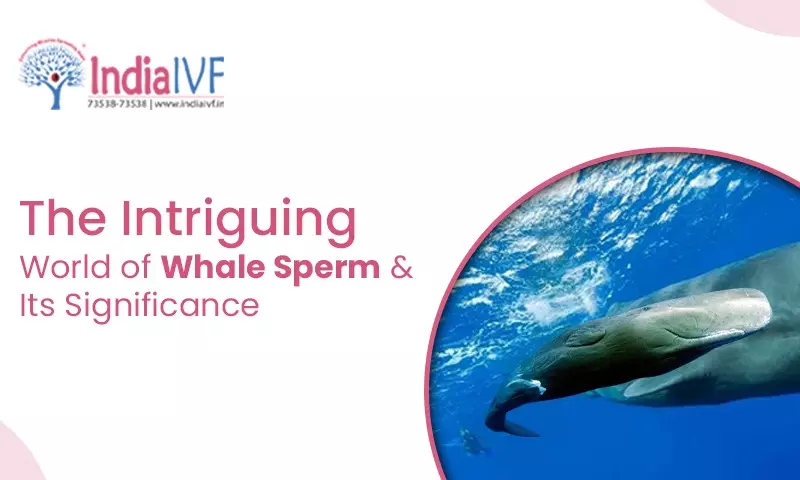 The Intriguing World of Whale Sperm and Its Significance