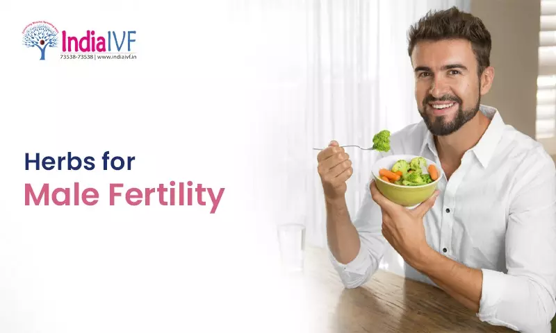 Herbs for Male Fertility