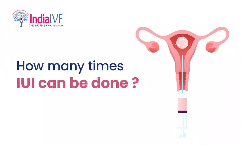 How many times IUI can be done?