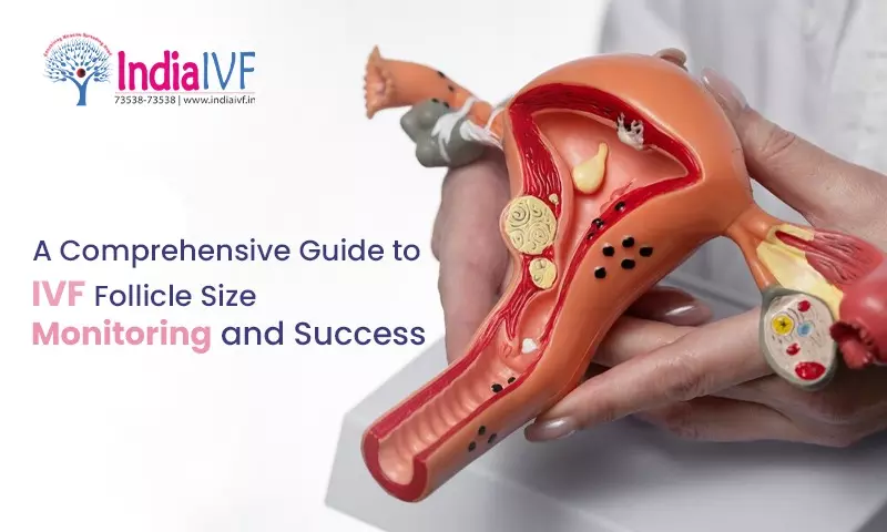 IVF Follicle Size Monitoring and Success