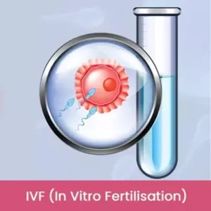 IVF In Vitro Fertilisation Recovered