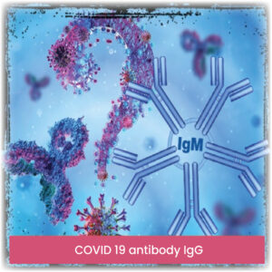 COVID 19 antibody IgG