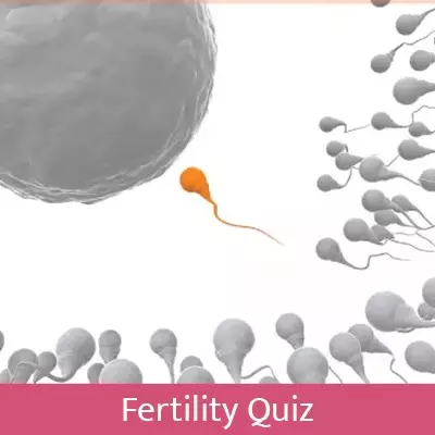 Fertility Quiz