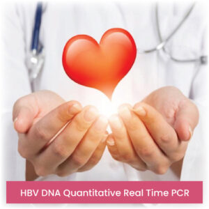 HBV DNA Quantitative Real Time PCR