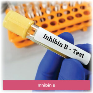 Inhibin B