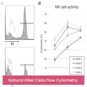 Natural Killer Cells Flow Cytometry
