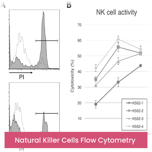 Natural Killer Cells Flow Cytometry