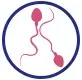 Low Sperm Count Treatment
