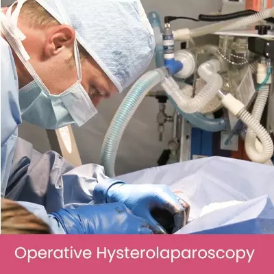 Operative Hysterolaparoscopy