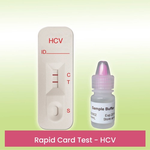 Rapid Card Test – HCV