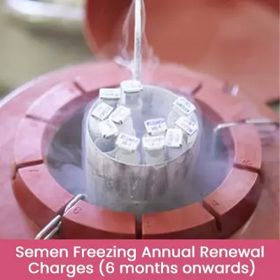Semen Freezing Annual Renewal Charges 6 months onwards