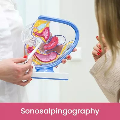 Sonosalpingography