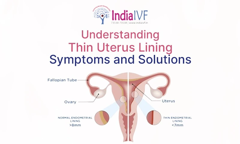 Thin Uterus Lining Symptoms and Solutions