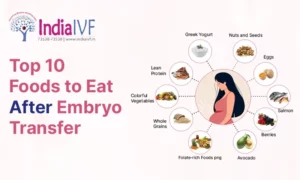 Top 10 Foods to Eat After Embryo Transfer