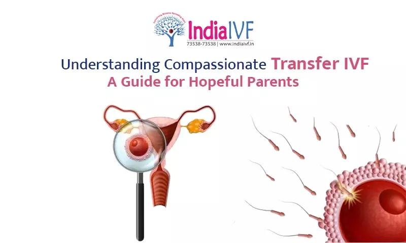 Understanding Compassionate Transfer IVF: A Guide for Hopeful Parents