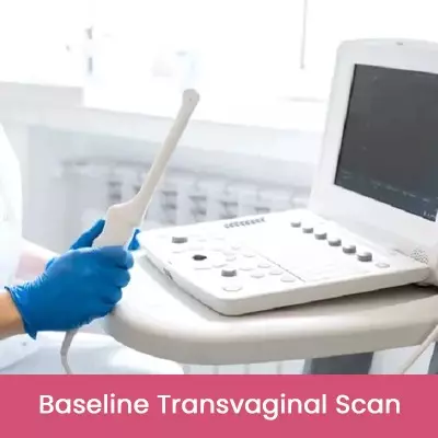 Baseline Transvaginal Scan