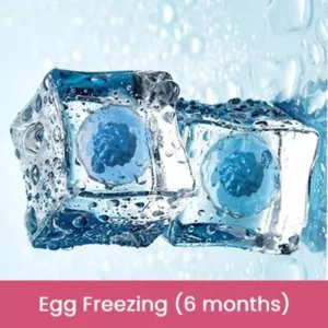 Egg Freezing 6 months