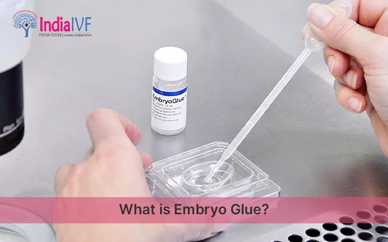 Embryo Glue