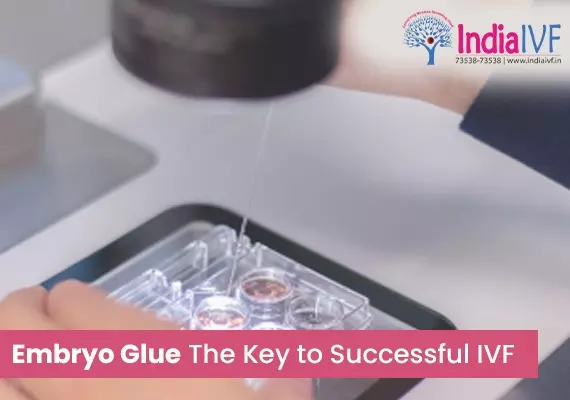 Embryo Glue The Key to Successful IVF
