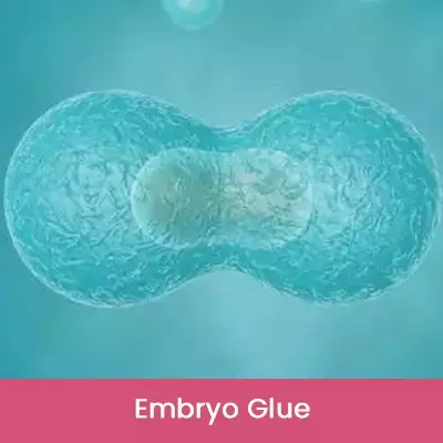 Embryo Glue