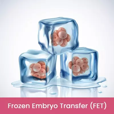 Frozen Embryo Transfer-FET