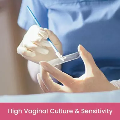 High Vaginal Culture Sensitivity