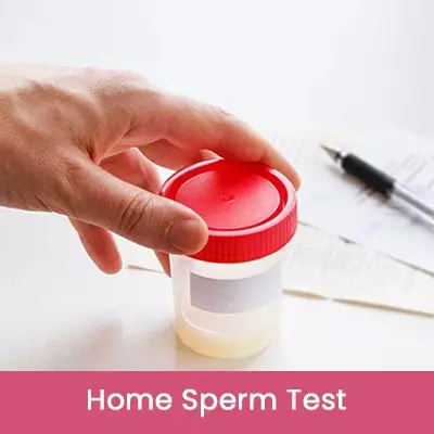 Home Sperm Test