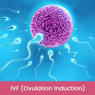 IVF Ovulation Induction