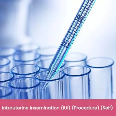 Intrauterine Insemination IUI Procedure Self
