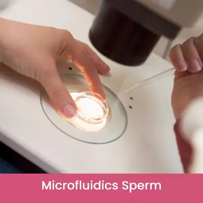 Microfluidics Sperm