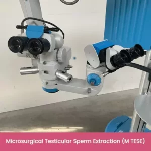 Microsurgical Testicular Sperm Extraction M-TESE