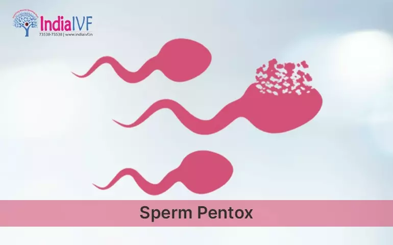 Sperm Pentox