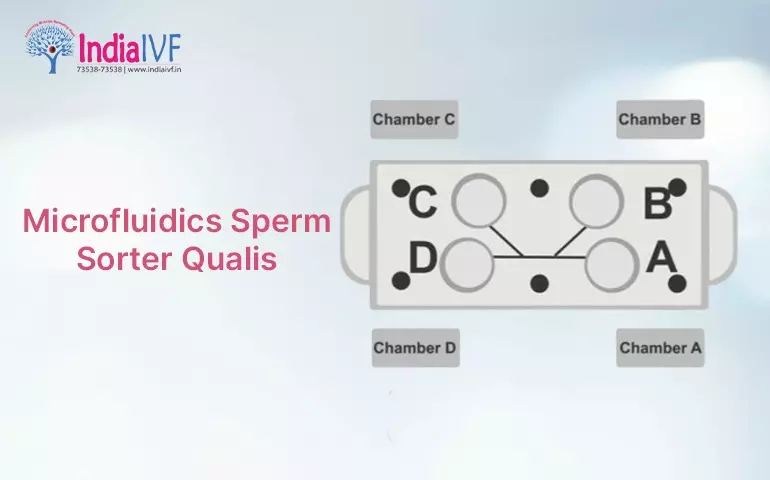 Microfluidics-Sperm
