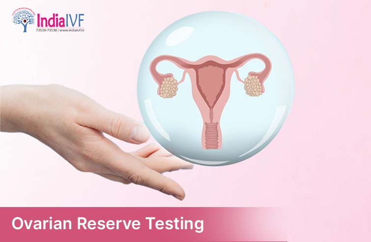 Ovarian Reserve Testing