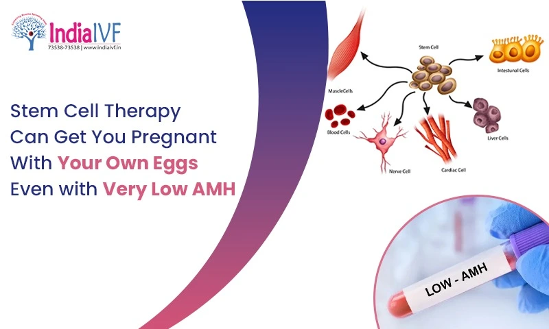 Stem Cell Therapy Can Get You Pregnant With Your Own Eggs Even with Very Low AMH and Early Menopause
