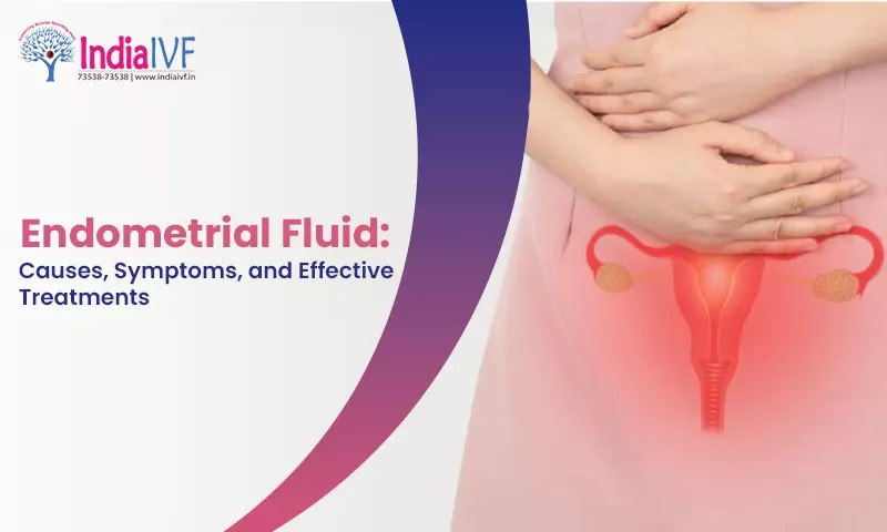 Understanding Endometrial Fluid: Causes, Symptoms, and Effective Treatments