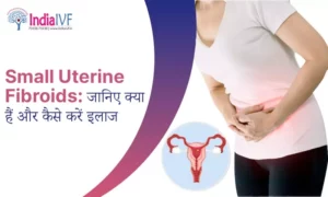 Small Uterine Fibroids